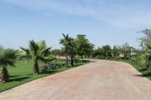 Mak Architect's Farm House project