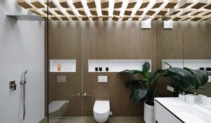 BATHROOM CEILING DESIGN IDEAS