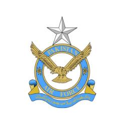 Pakistan Air Force.jfif