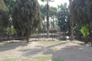 img 0041