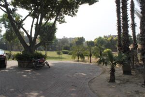 img 0052