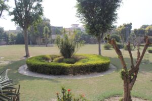 img 0056