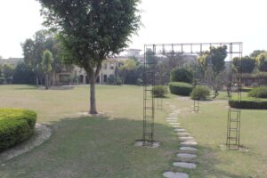 img 0058