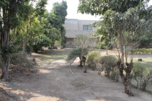 img 0070